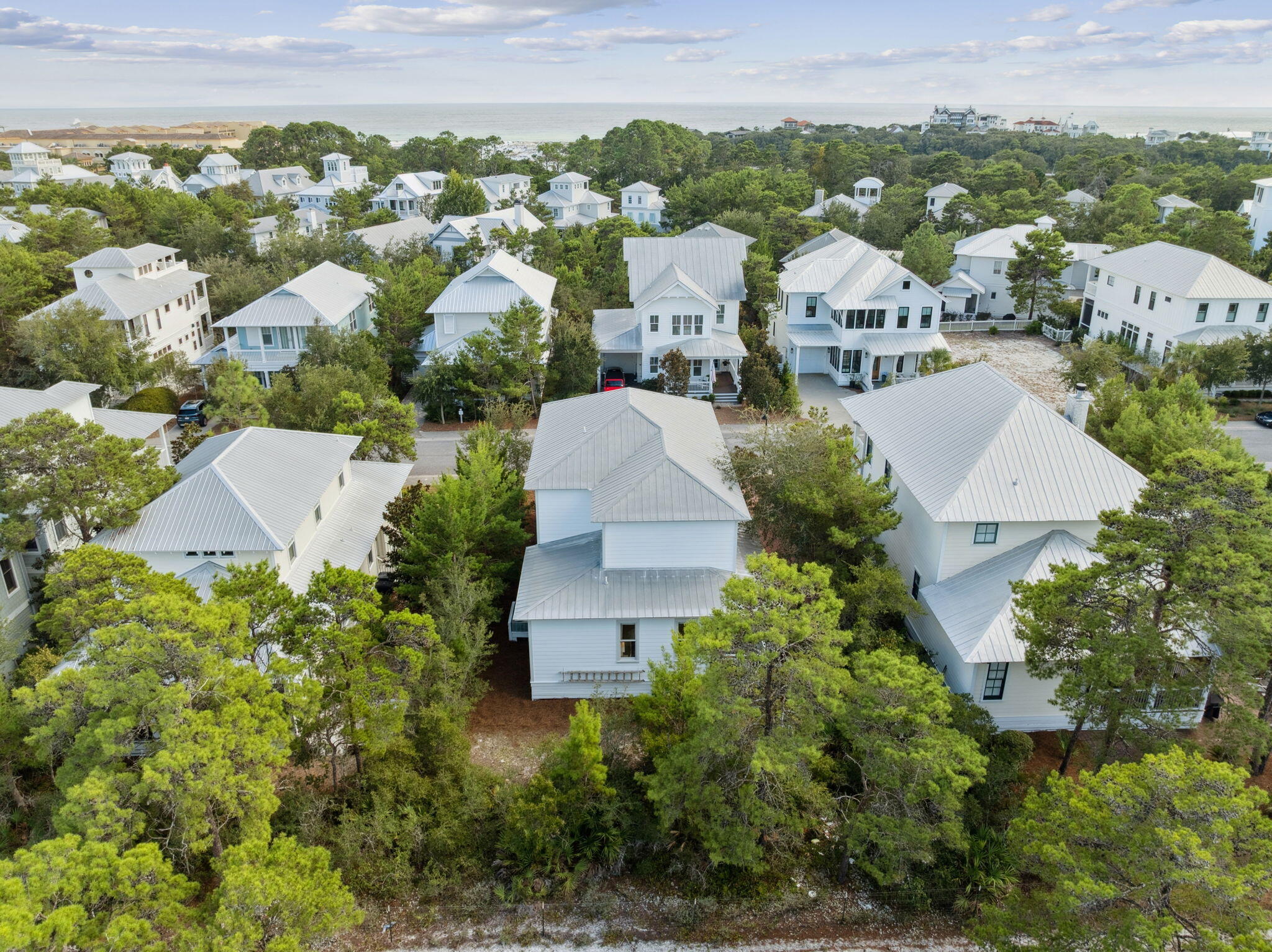 THE PRESERVE AT GRAYTON BEACH - Residential