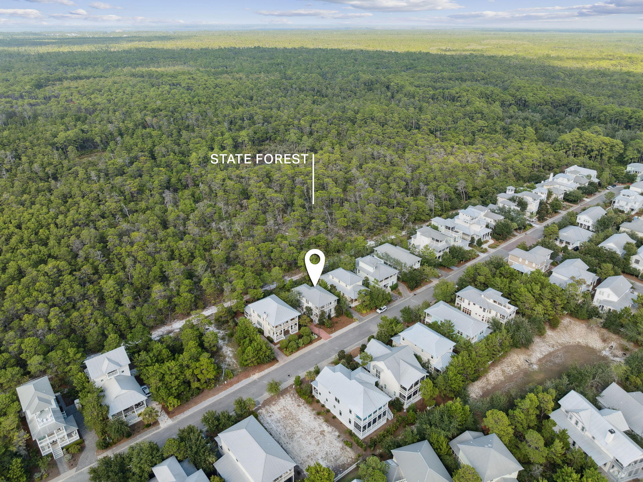THE PRESERVE AT GRAYTON BEACH - Residential