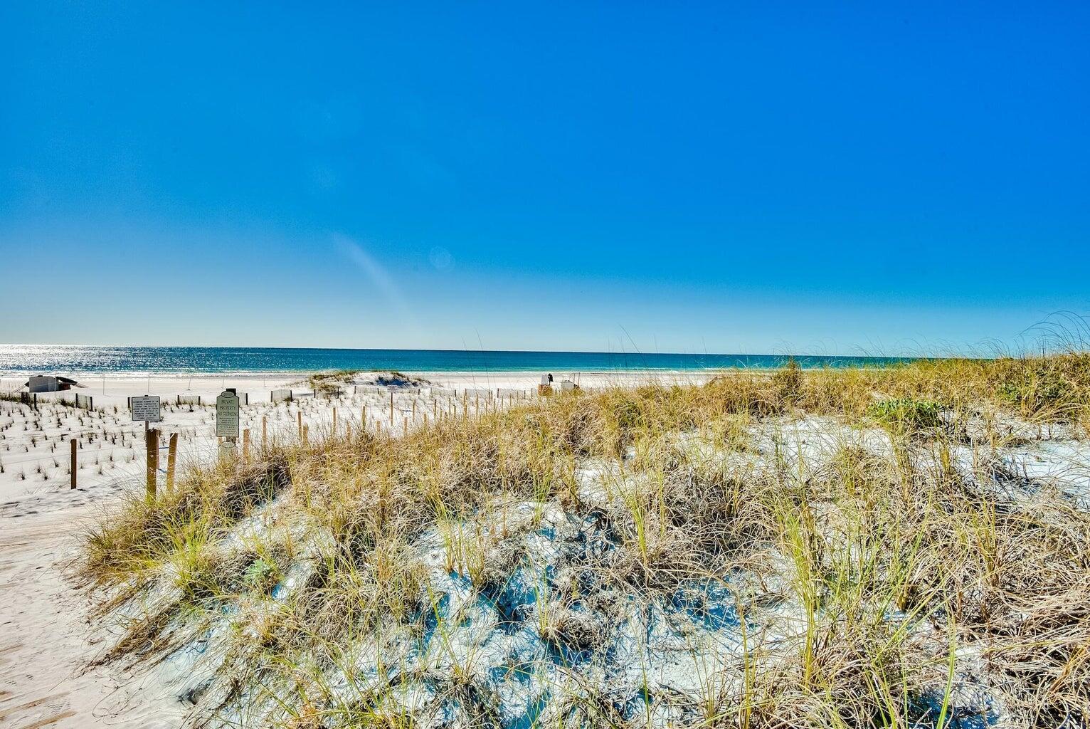 THE PRESERVE AT GRAYTON BEACH - Residential