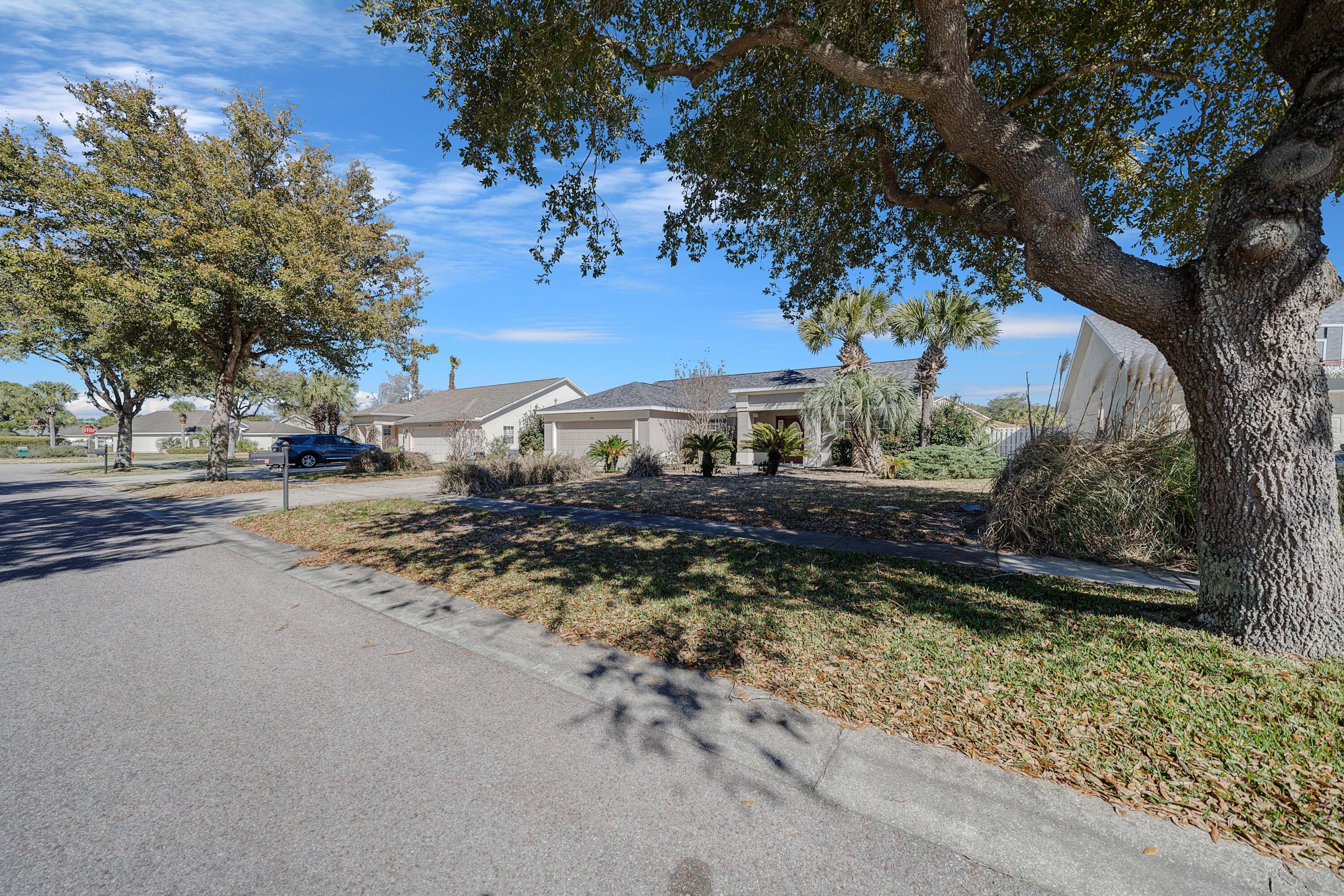 Palmetto Trace - Residential