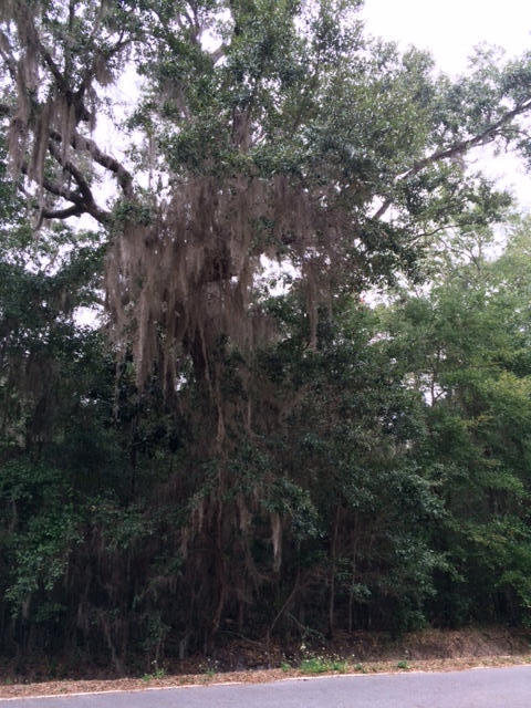 DAUGHETTES AMENDED - Land