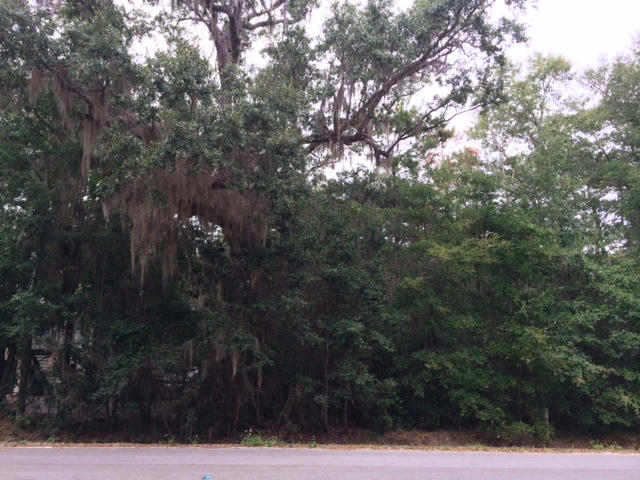 Beautiful large lot with mature oaks & magnolias near the bay. Lot located within a half mile from the Choctawhatchee Bay and is within a 10 min drive to 30A beaches, shopping, dining, entertainment & activity. Build your dream house between the bay and the beach on this generous 75x150 sized lot. ***Buyer is responsible for personally verifying details about this property. All information contained on the listing is believed to be accurate but not guaranteed. ***
