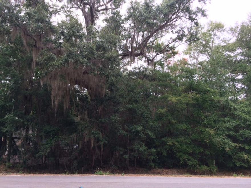 Beautiful large lot with mature oaks & magnolias near the bay. Lot located within a half mile from the Choctawhatchee Bay and is within a 10 min drive to 30A beaches, shopping, dining, entertainment & activity. Build your dream house between the bay and the beach on this generous 75x150 sized lot. ***Buyer is responsible for personally verifying details about this property. All information contained on the listing is believed to be accurate but not guaranteed. ***