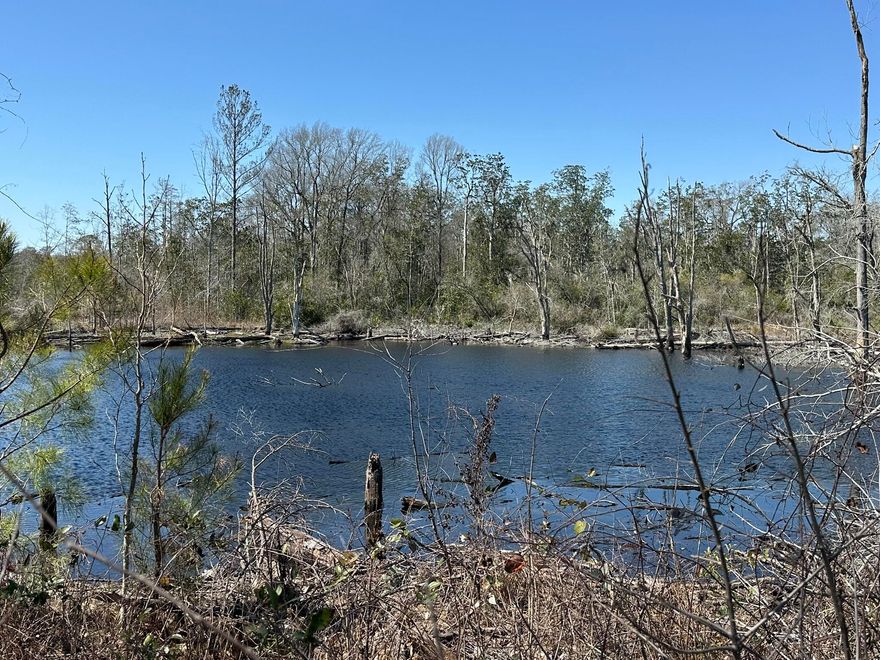 This property has historically been utilized as a timber tract, offering a solid foundation for those looking to continue this practice or explore other potential uses. The generous acreage, combined with strategic access from two key thoroughfares, provides flexibility and opportunities. Property's location in Bonifay offers a blend of accessibility and rural character. It is positioned within the North Florida region, with easy access to Highway 280 for travel to surrounding areas. This is a unique opportunity to acquire a significant timber tract in Bonifay, Florida. Prospective buyers to conduct their own due diligence to explore the full potential of this property.