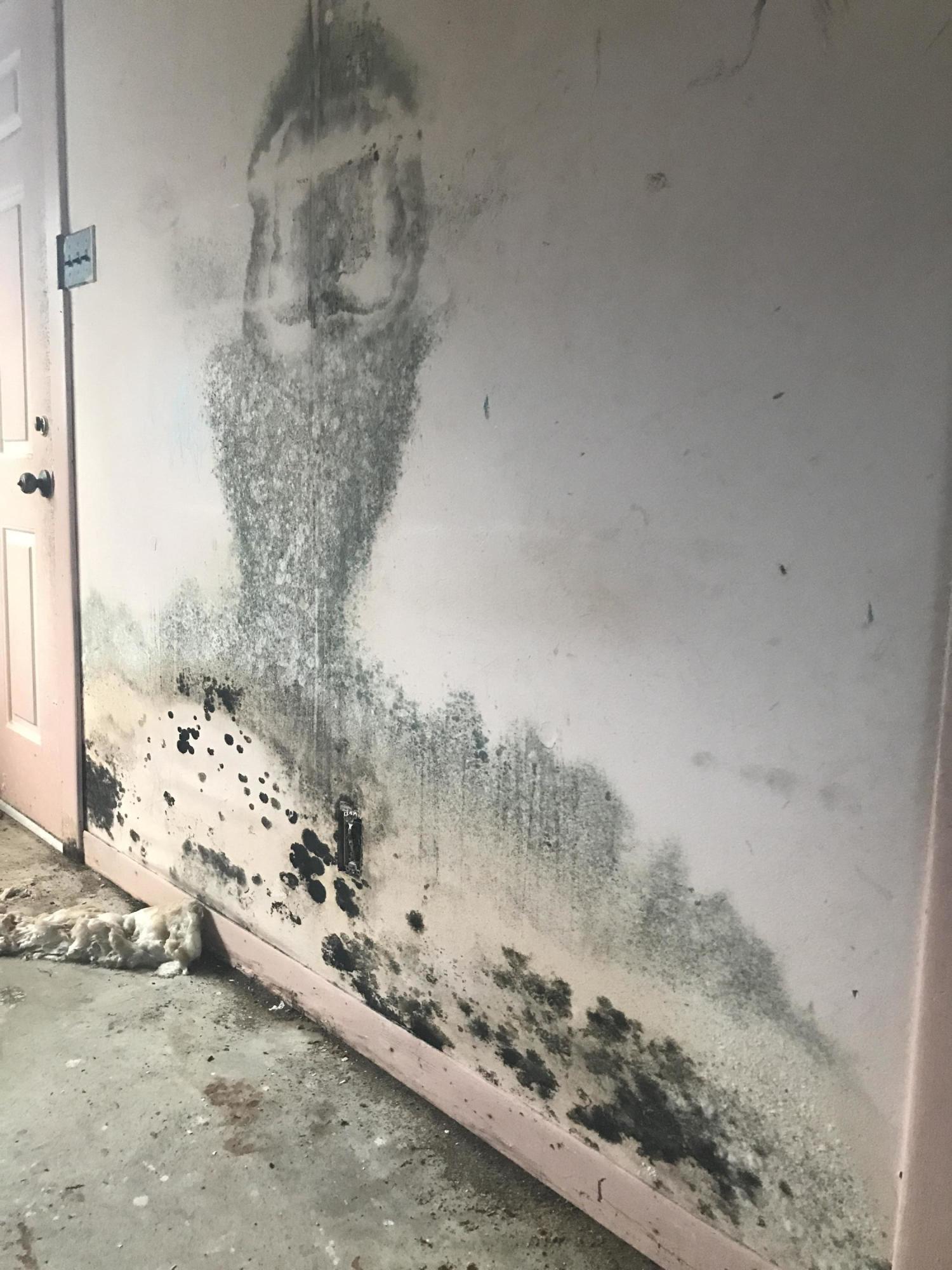 SEABREEZE 5TH ADDN - Residential