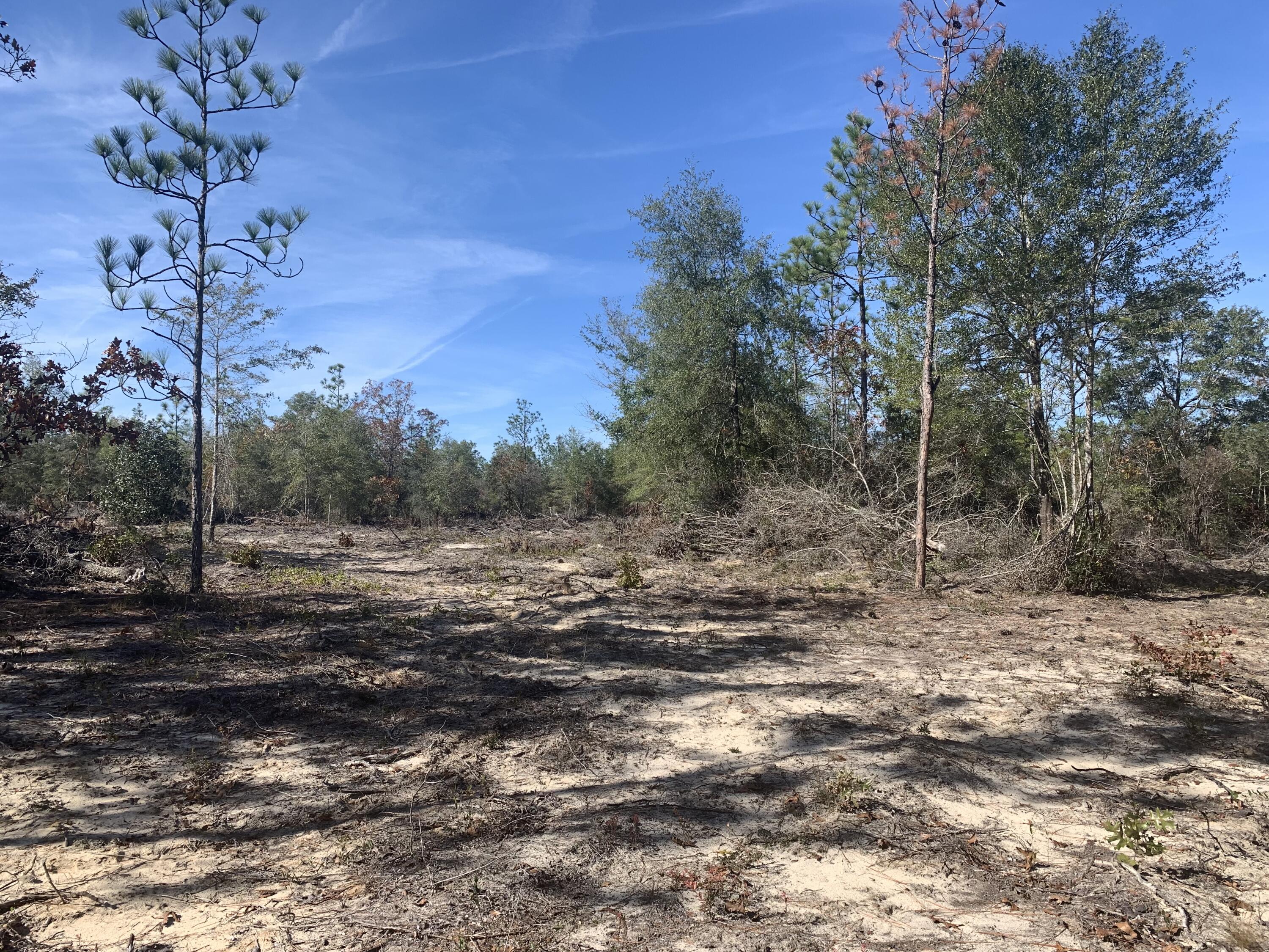 28.92 Acres of Prime Wooded Land in Defuniak Springs! High and dry, make use of ALL your acreage!*Power at the road! 28.92-acre parcel, just 10 minutes from Main Street in Defuniak Springs! Embrace the tranquility of a wooded haven that doubles as excellent hunting land, heavy deer population! Lush, wooded landscape - Ideal for hunting enthusiasts. Mobile homes allowed, offering flexible living options. Discover the small town charm and holiday magic that DeFuniak offers! Don't miss your chance to own a piece of natural beauty! Just under an hour to the white sand beaches of Destin!
