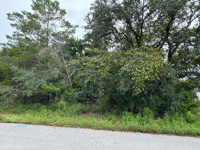 HOLLEY BY THE SEA, 1ST ADD - Land