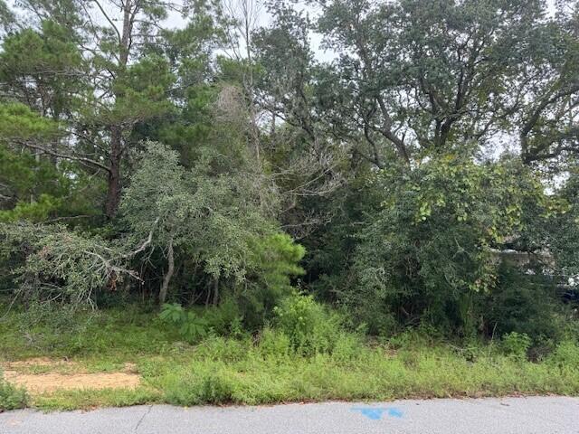 HOLLEY BY THE SEA, 1ST ADD - Land