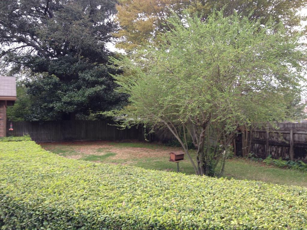 HOMEWOOD S/D - Residential