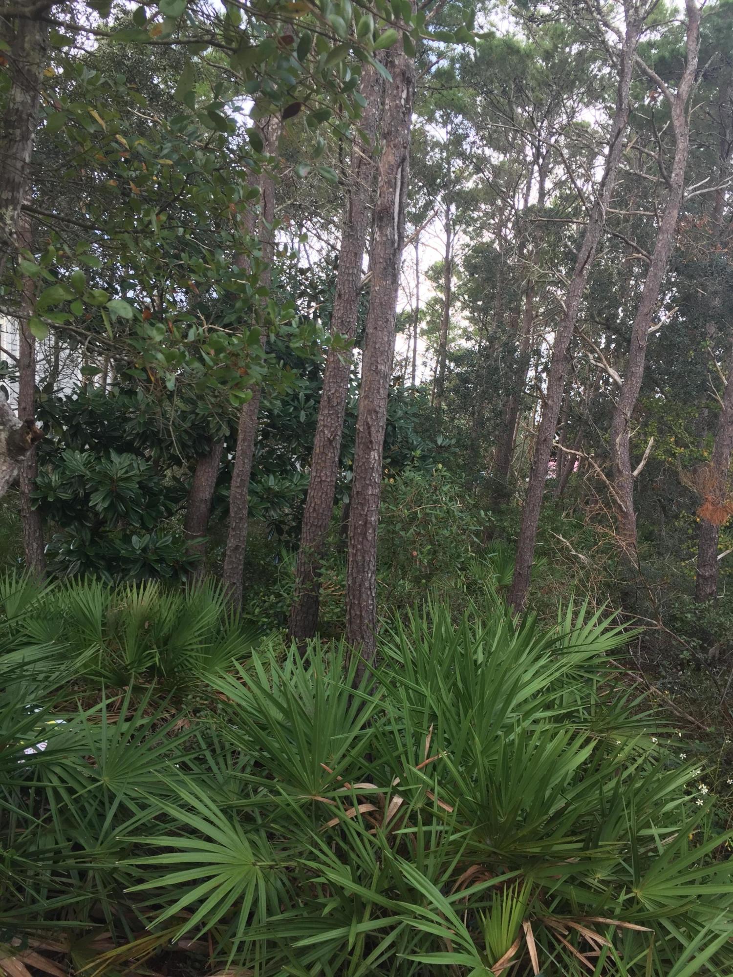 EASTERN LAKE ESTATES - Land