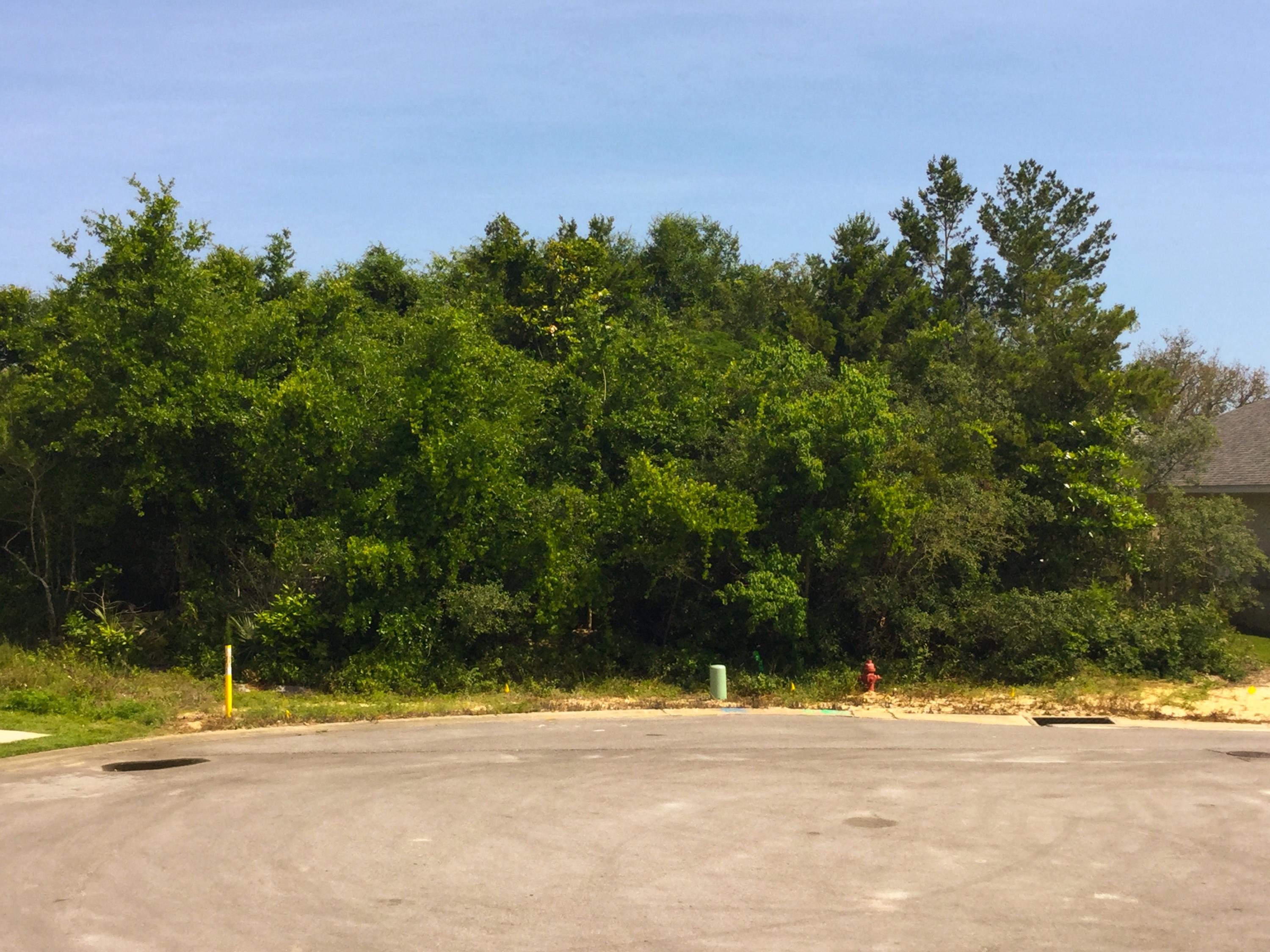 BLUE MARLIN EST ADD 1 - Land