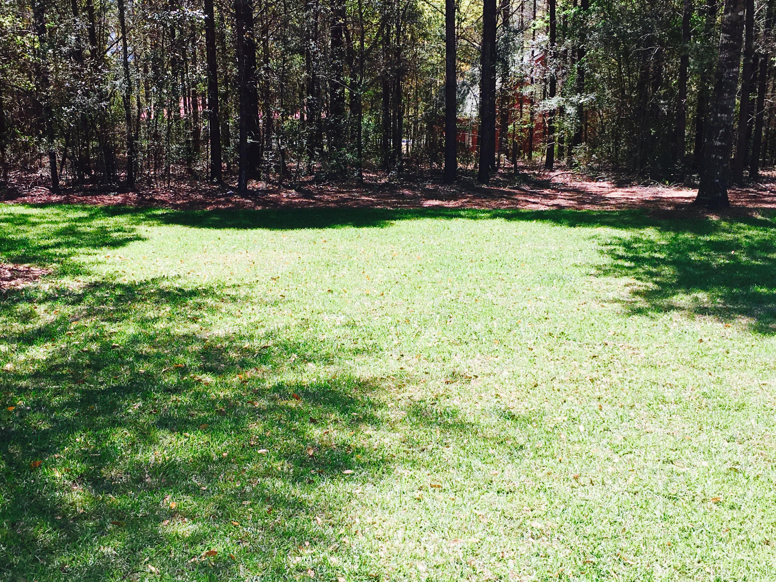 HOMEWOOD EST - Residential