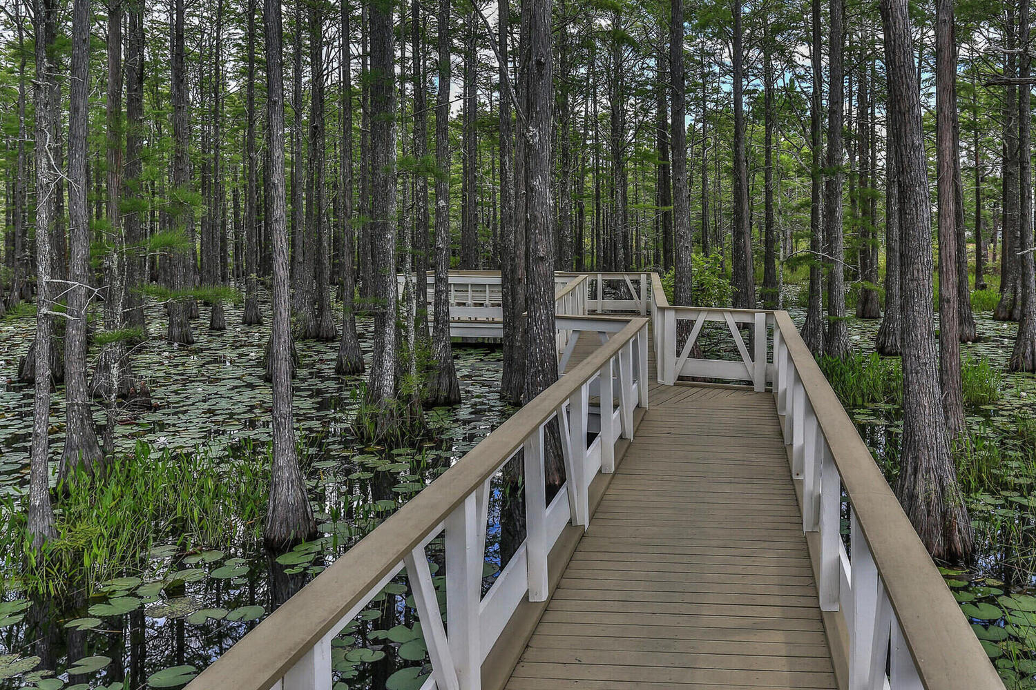 CYPRESS DUNES - Residential Lease