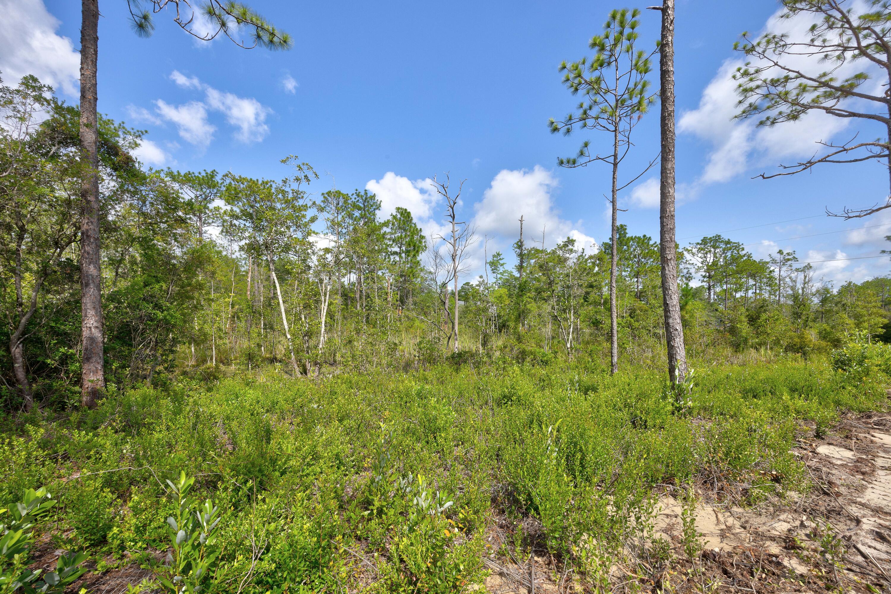 OAKWOOD HILLS UNIT 1 - Land