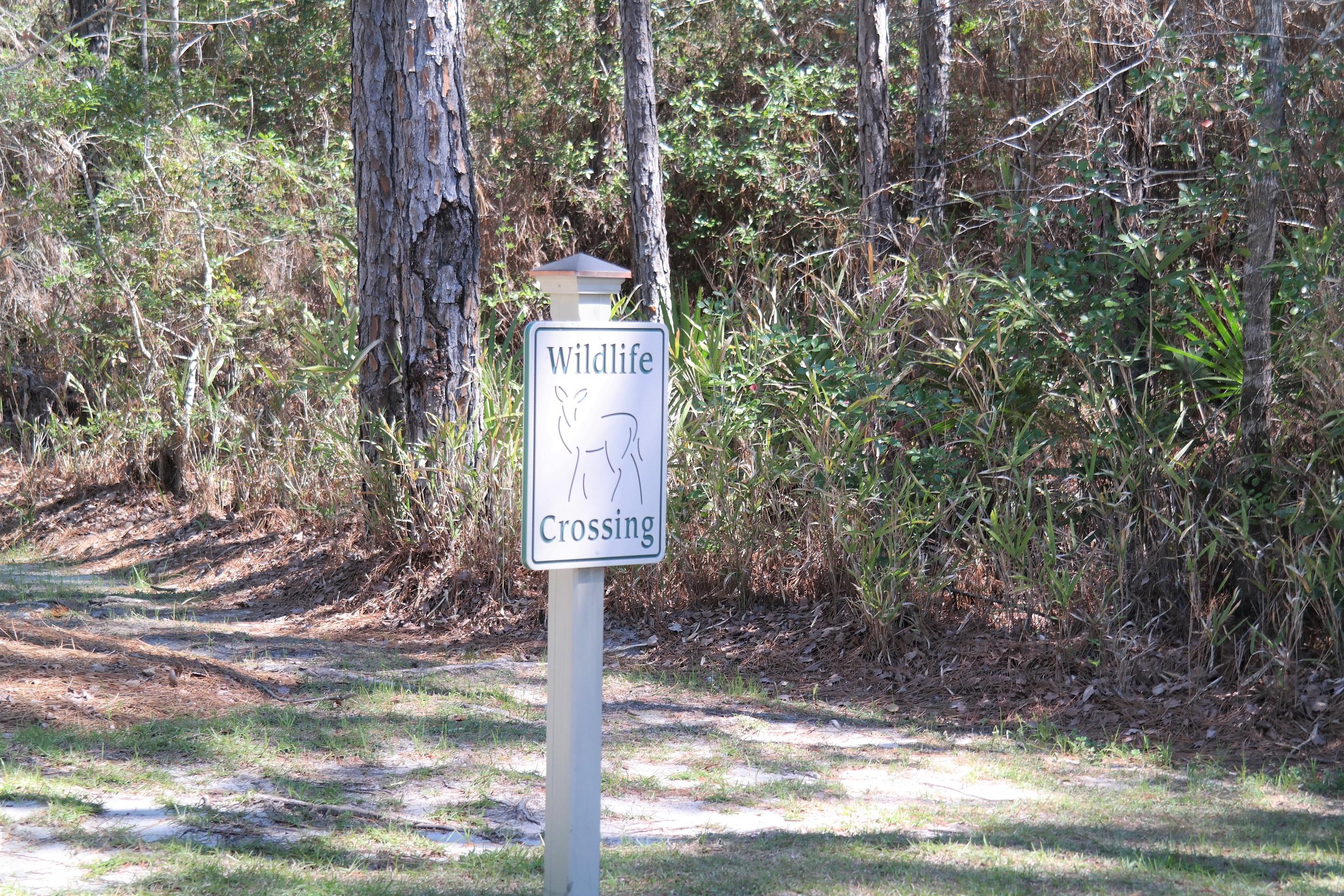 WINDSWEPT ESTATES - Residential