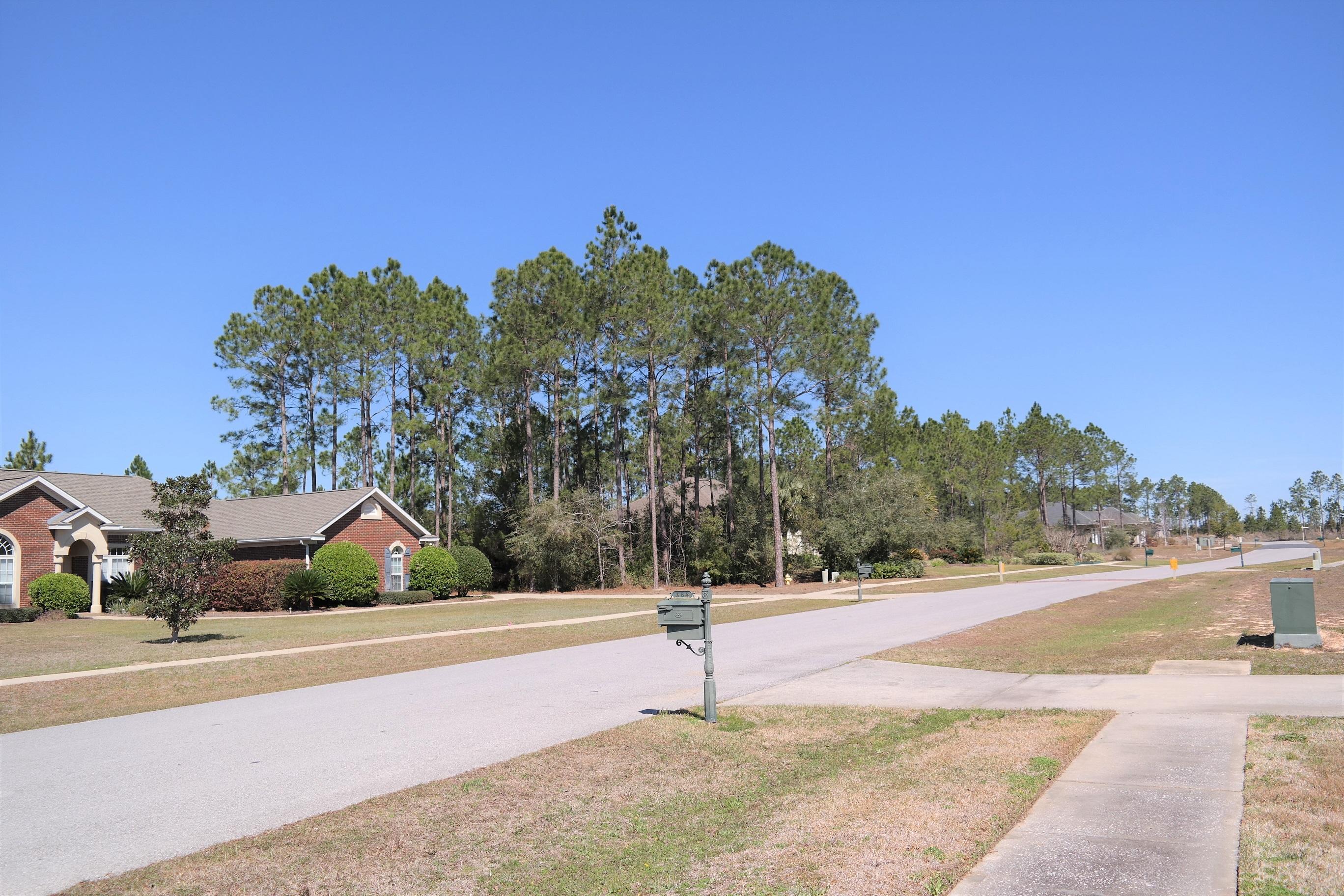 WINDSWEPT ESTATES - Residential