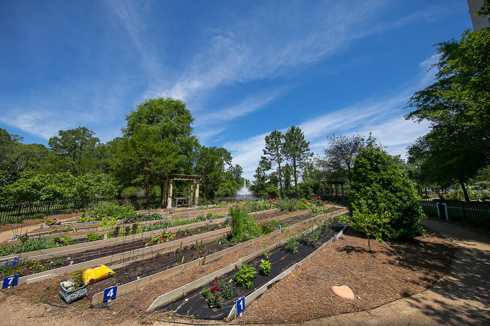 ONE WATER PLACE AT KELLY PLANTATION - Residential