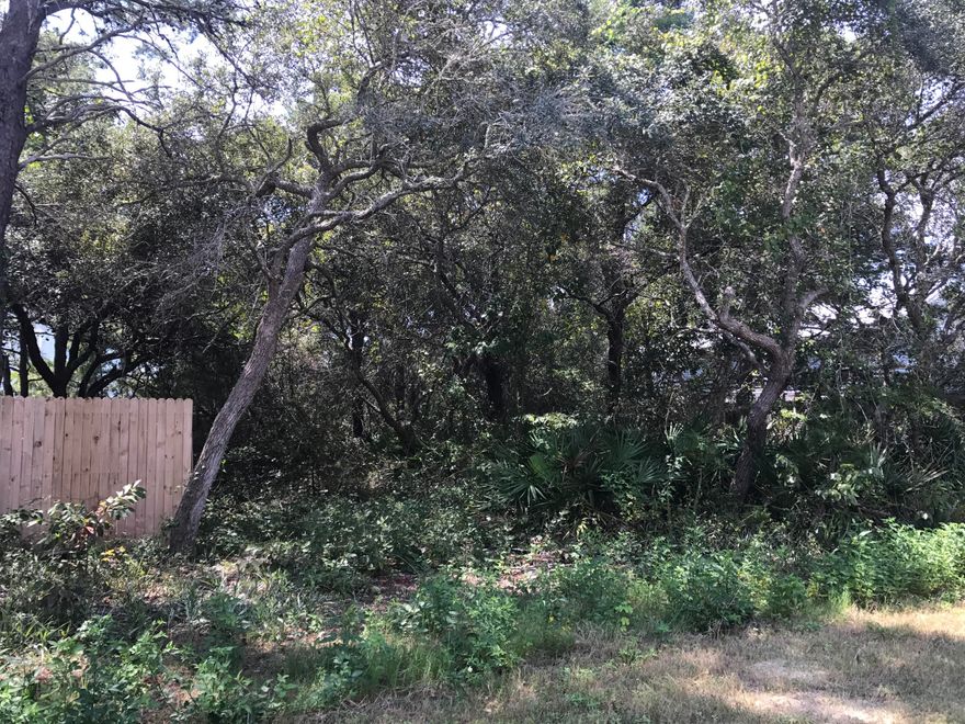 SOUTH OF 30-A.... NO HOA FEES.... NO BUILDING RESTRICTIONS except County Codes. Amazing Opportunity to build your dream home and/or investment property in highly sought after Gulf View Heights. 2 BLOCKS TO THE BEACH!Home on adjacent lot also available. (MLS#782812) RARE OPPORTUNITY for purchase of side by side properties!!