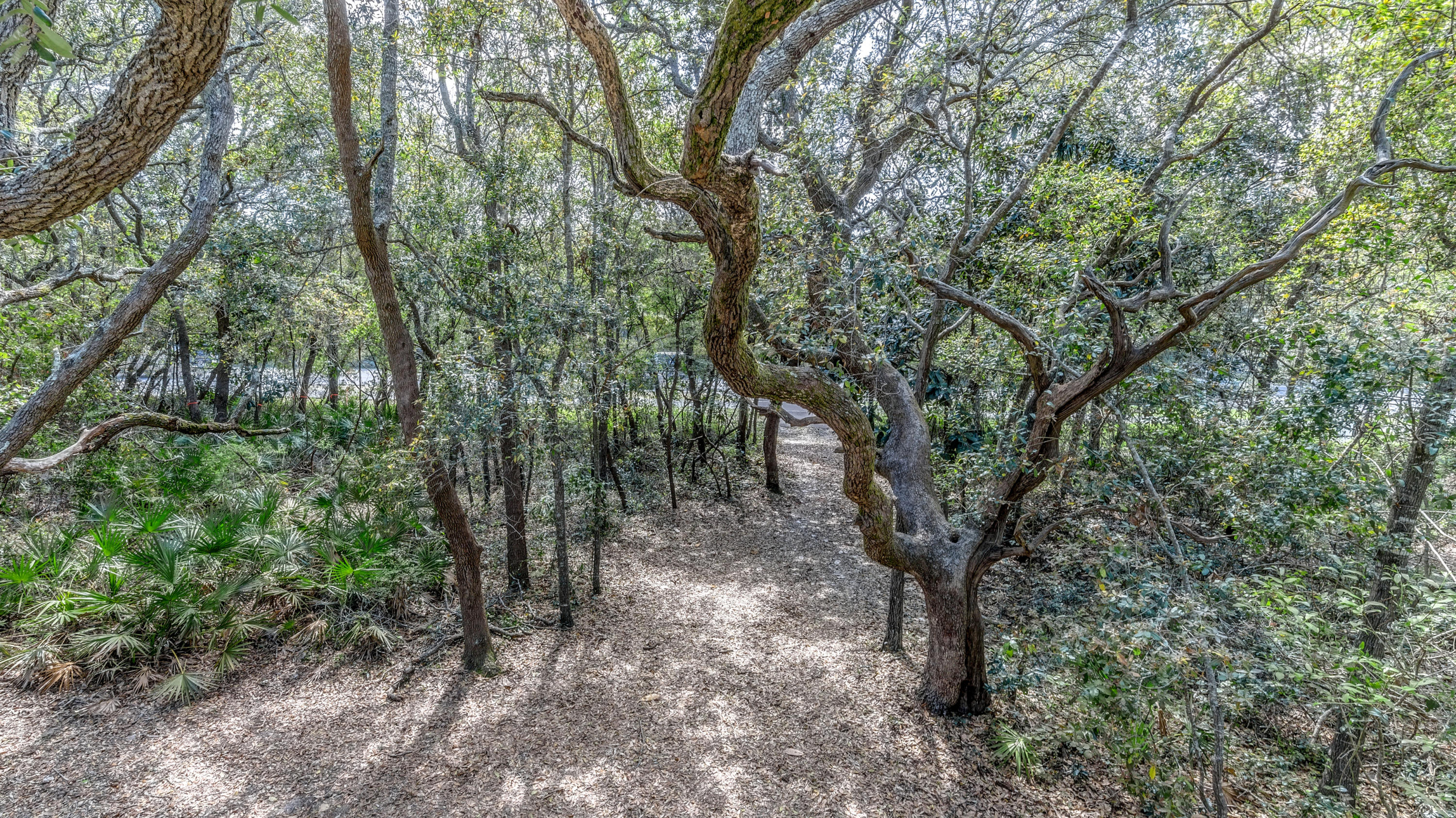 BEACH HIGHLANDS - Residential