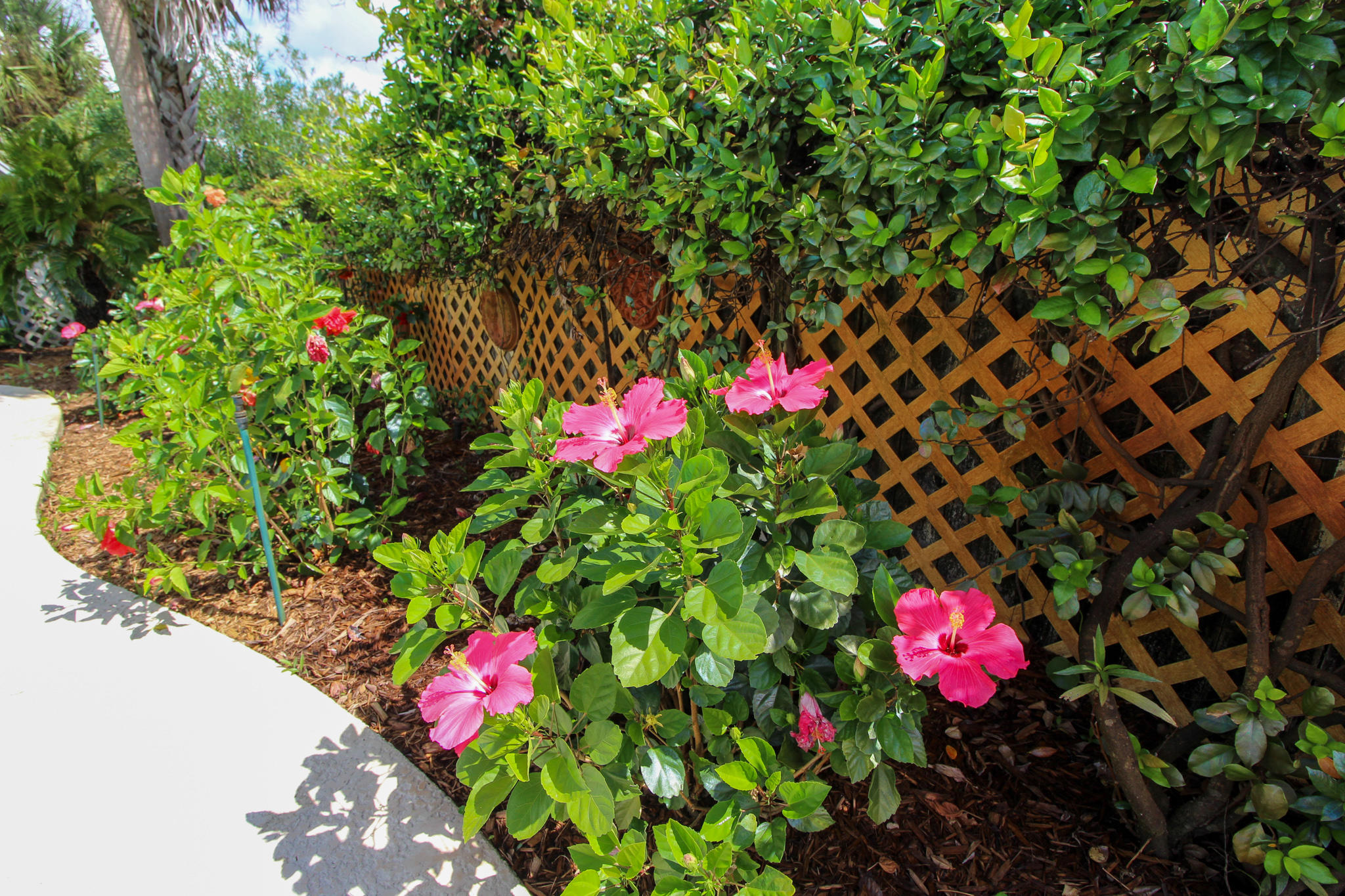 SANTA ROSA ISLAND - Residential