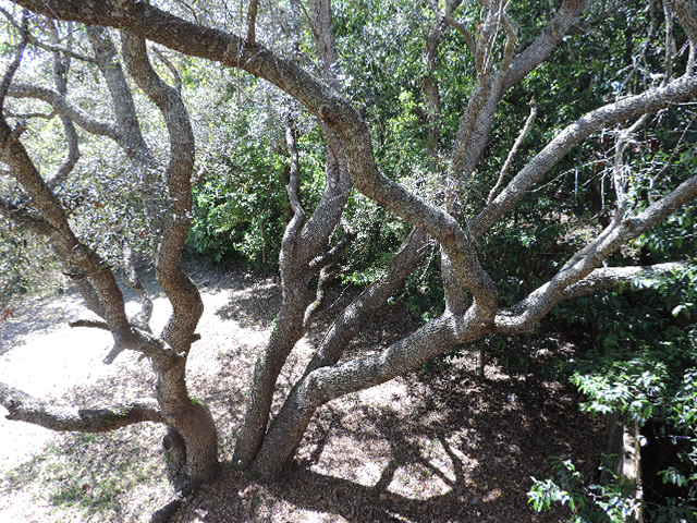 BEACH HIGHLAND 1ST ADD - Residential