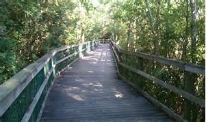 LEOTA MILLER - Residential