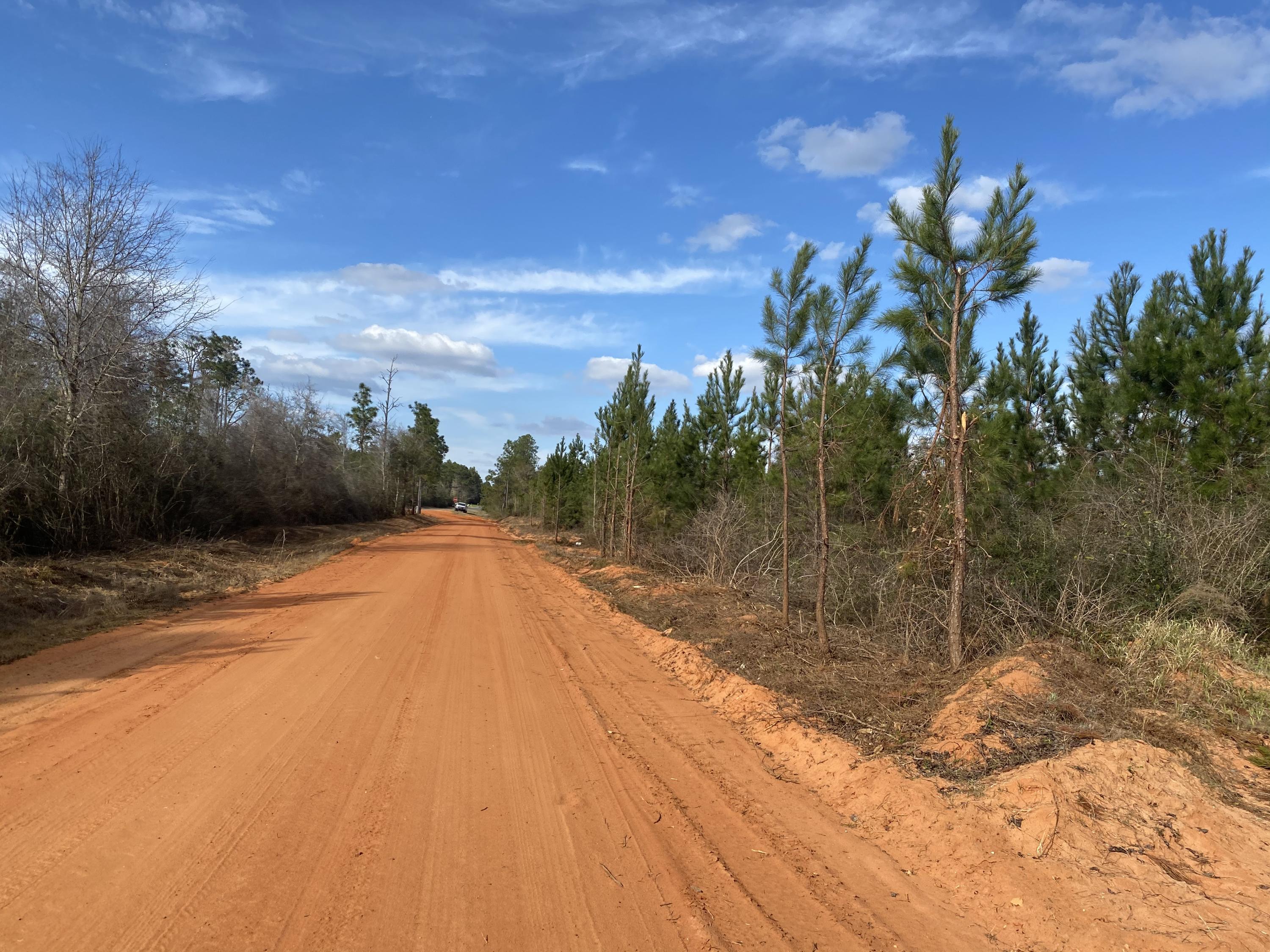 30 +/- acres of nature for your hunting or your home! Beautiful timberland with highway access. Schools: Central for Elementary, Central High School for both Middle and High schoolers.Access y appointment only.