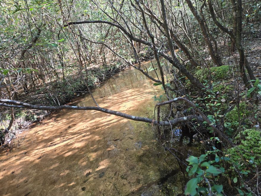 This parcel is NOT landlocked and has established legal access. The photos don't fully capture the access route. 40-acres of useable land with the space and flexibility to create your ideal homesite or recreational retreat. Survey available.  Escape the ordinary and experience true Florida freedom on this beautiful 40-acre parcel in the peaceful countryside of DeFuniak Springs. This property offers a rare blend of privacy, natural beauty, and possibility. Perfect for those seeking space to build, grow, or simply enjoy the quiet of nature. Located just minutes from historic downtown DeFuniak Springs and a short drive to I-10 and the beaches of South Walton, this land offers rural serenity with convenient access to shopping, dining, and coastal amenities.