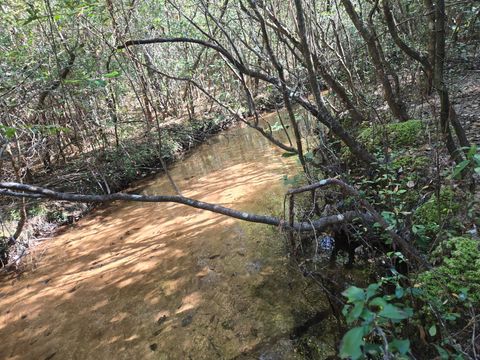 Photo of 00 Boy Scout Road, DeFuniak Springs, FL 32435 (MLS # 987893)