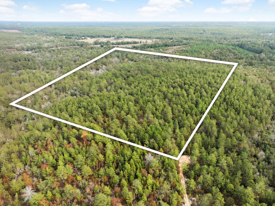 This parcel is NOT landlocked and has established legal access. The photos don't fully capture the access route. 40-acres of useable land with the space and flexibility to create your ideal homesite or recreational retreat. Survey available.  Escape the ordinary and experience true Florida freedom on this beautiful 40-acre parcel in the peaceful countryside of DeFuniak Springs. This property offers a rare blend of privacy, natural beauty, and possibility. Perfect for those seeking space to build, grow, or simply enjoy the quiet of nature. Located just minutes from historic downtown DeFuniak Springs and a short drive to I-10 and the beaches of South Walton, this land offers rural serenity with convenient access to shopping, dining, and coastal amenities.