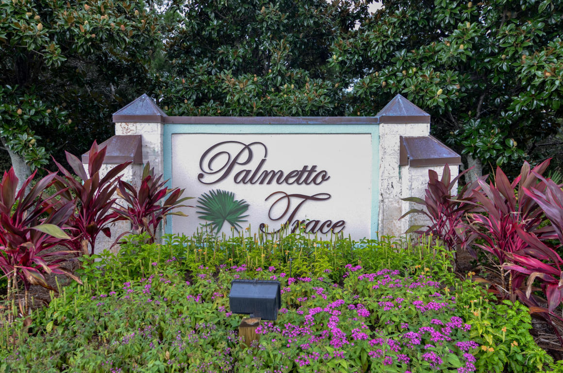 Palmetto Trace Phase III - Residential