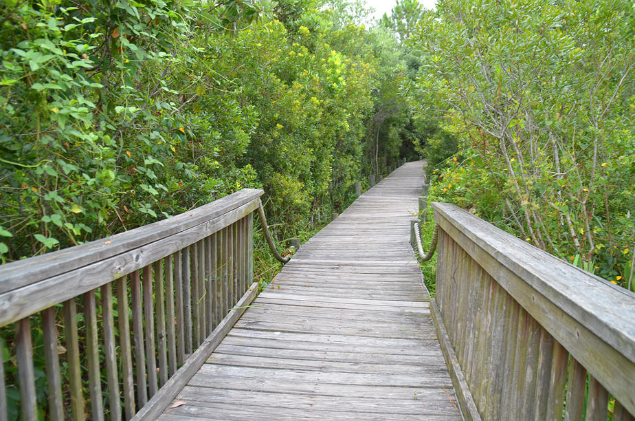 PRITCHARD POINT - Residential