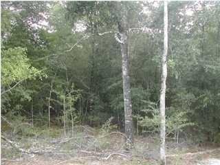 7.01 ACRE LOT WITH OVER 500 FEET OF ROAD FRONTAGE ON WOLF TRACK ROAD. THE LAND IS FAIRLY LEVEL AND WOODED WITH PINE AND OAK TREES. UTILITIES ARE AVAILABLE AT STREET.