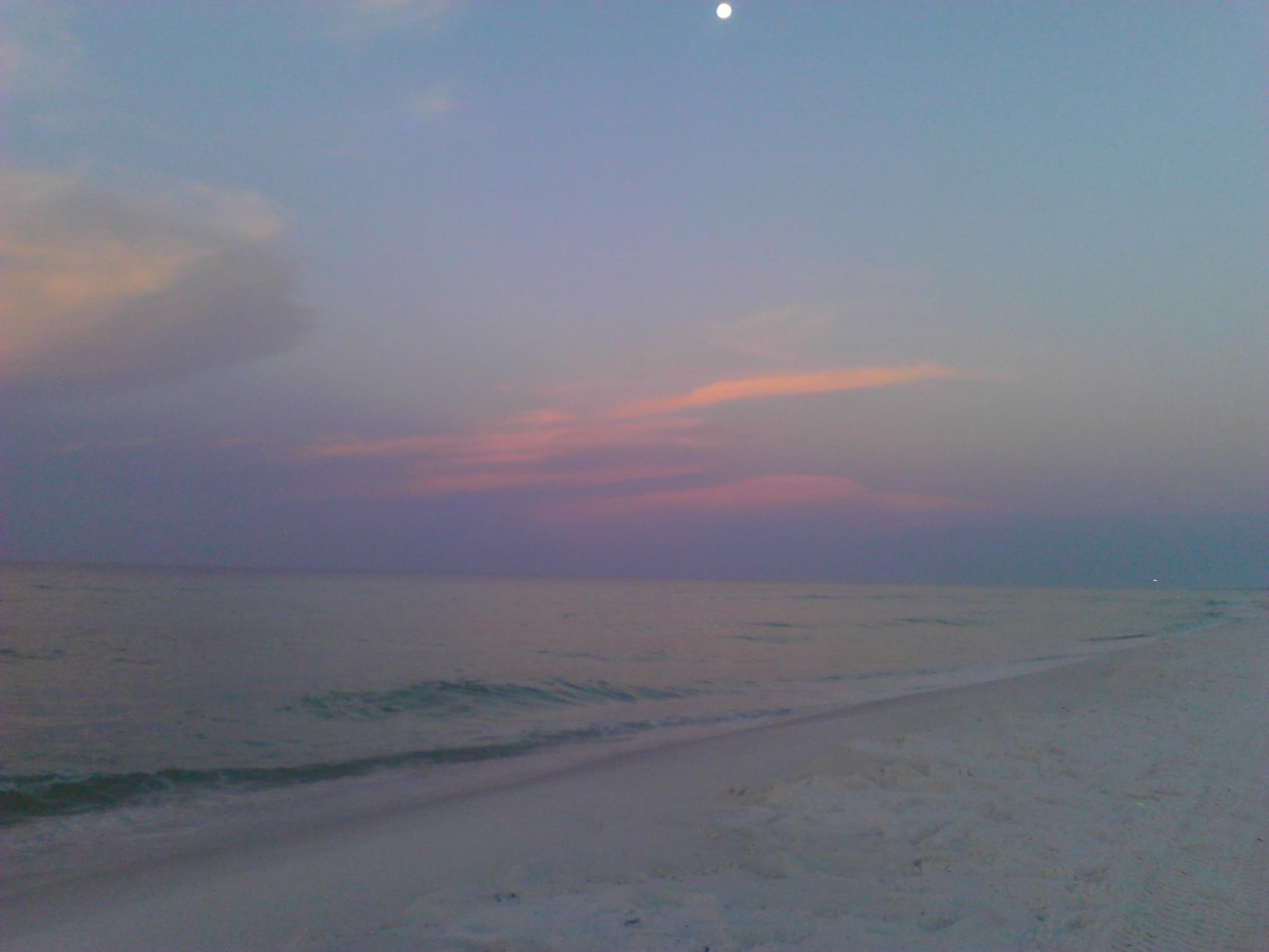 TROPICAL ISLE CONDO - Residential