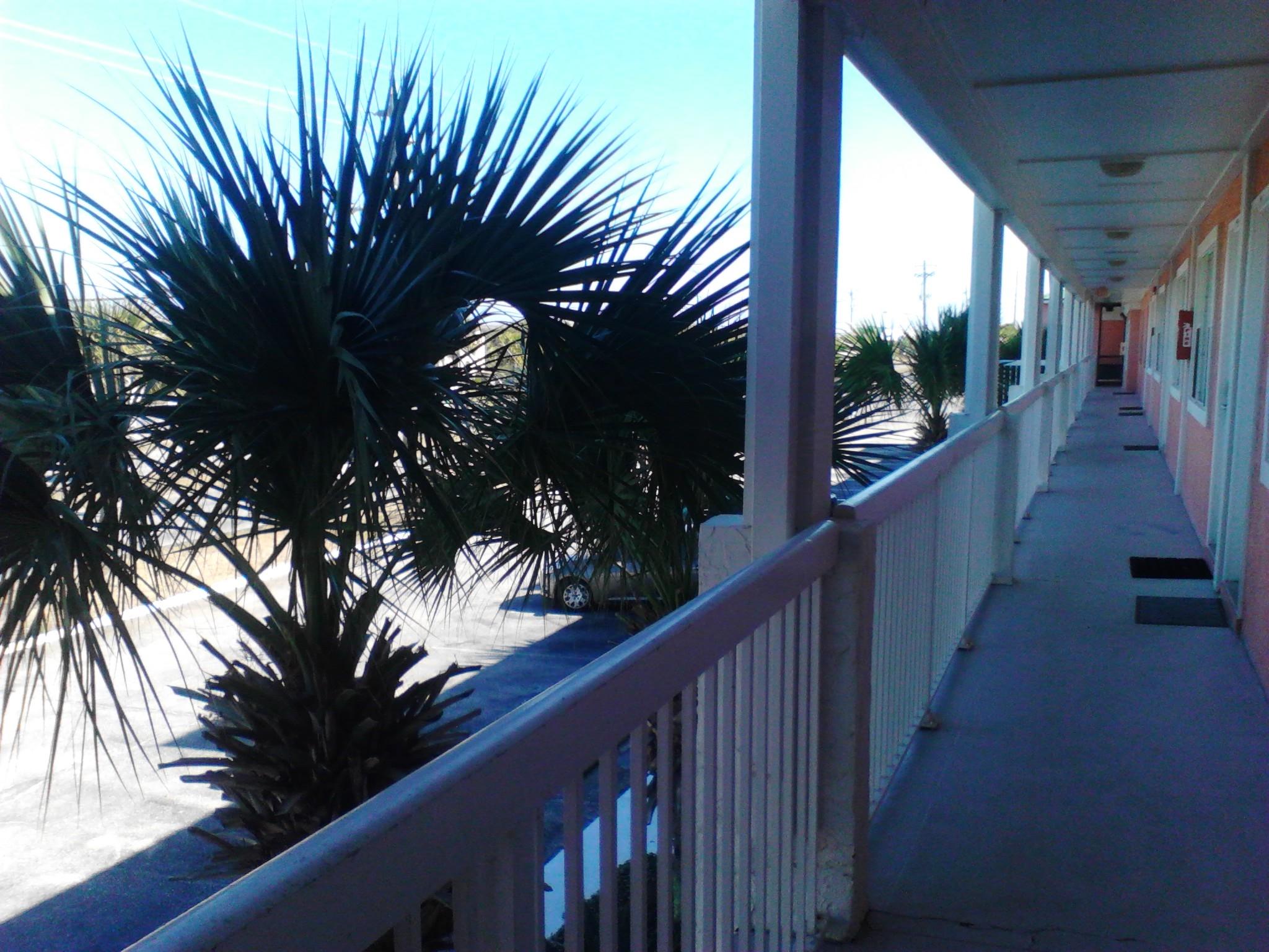 TROPICAL ISLE CONDO - Residential