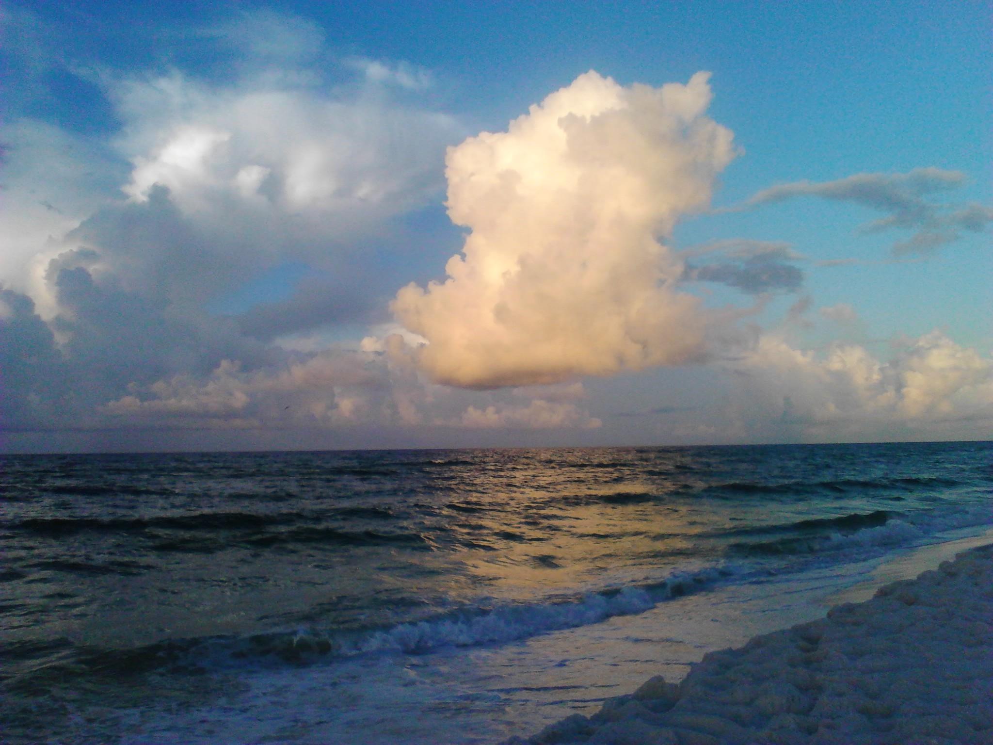 TROPICAL ISLE CONDO - Residential