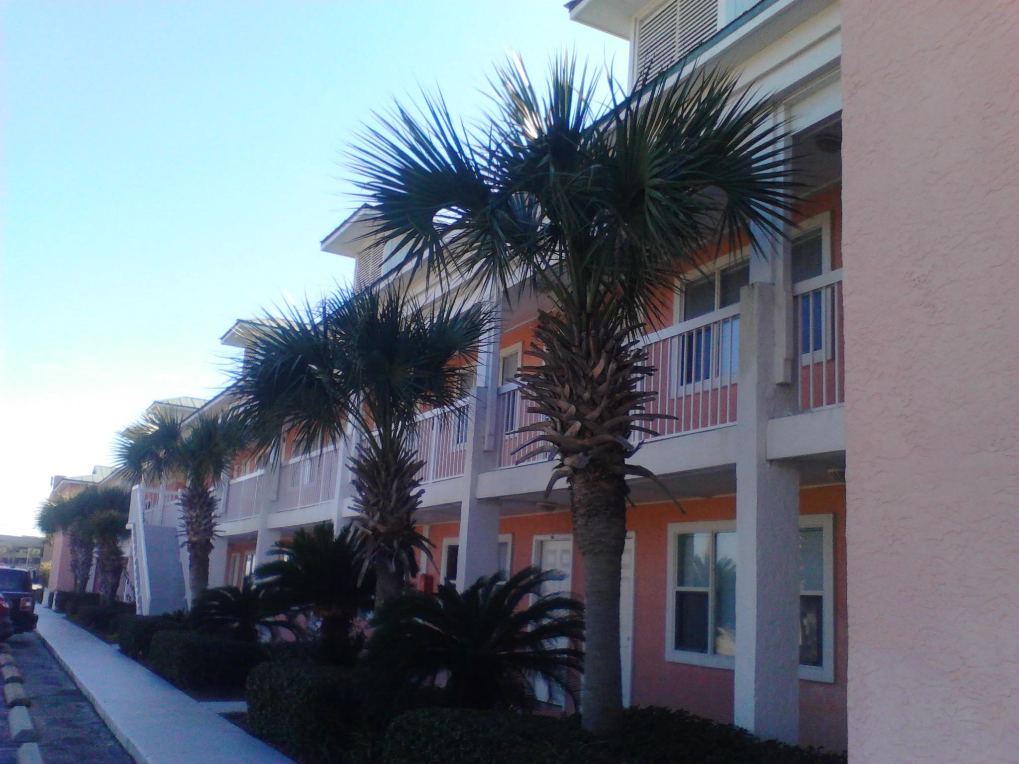 TROPICAL ISLE CONDO - Residential