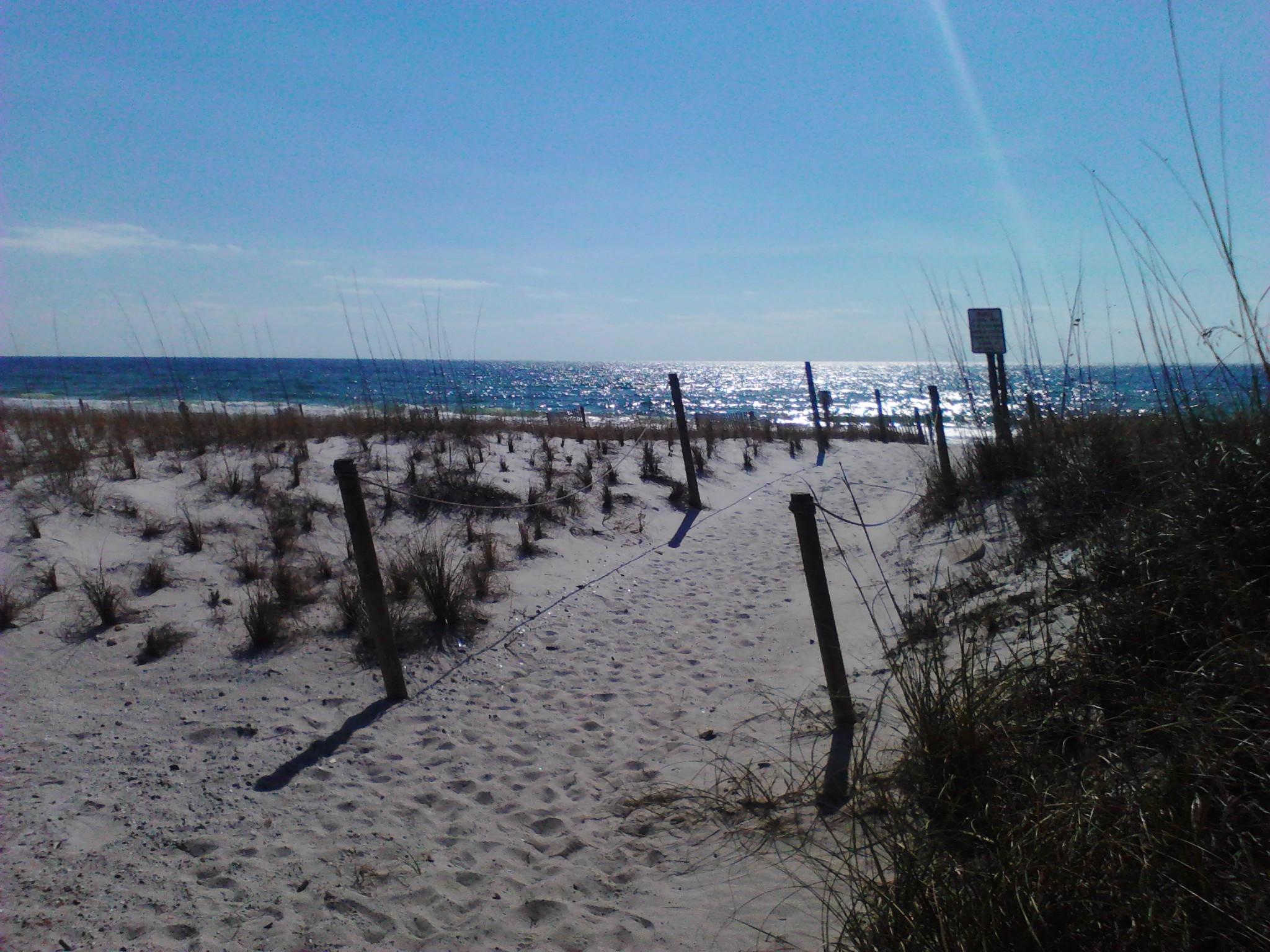 TROPICAL ISLE CONDO - Residential