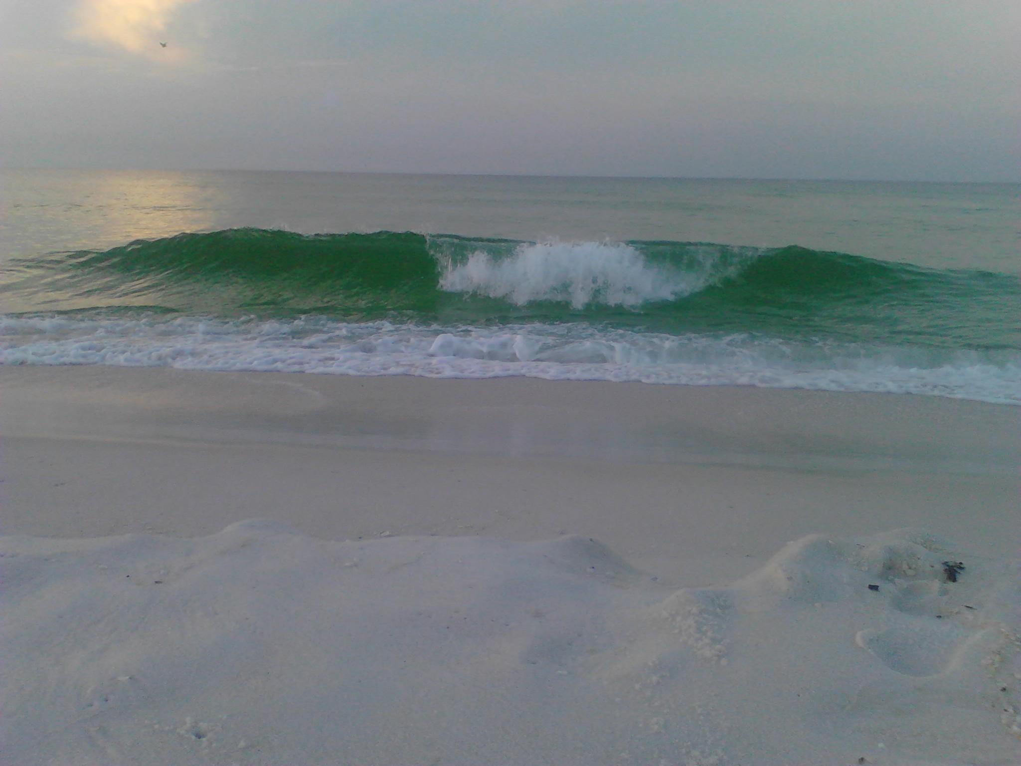 TROPICAL ISLE CONDO - Residential