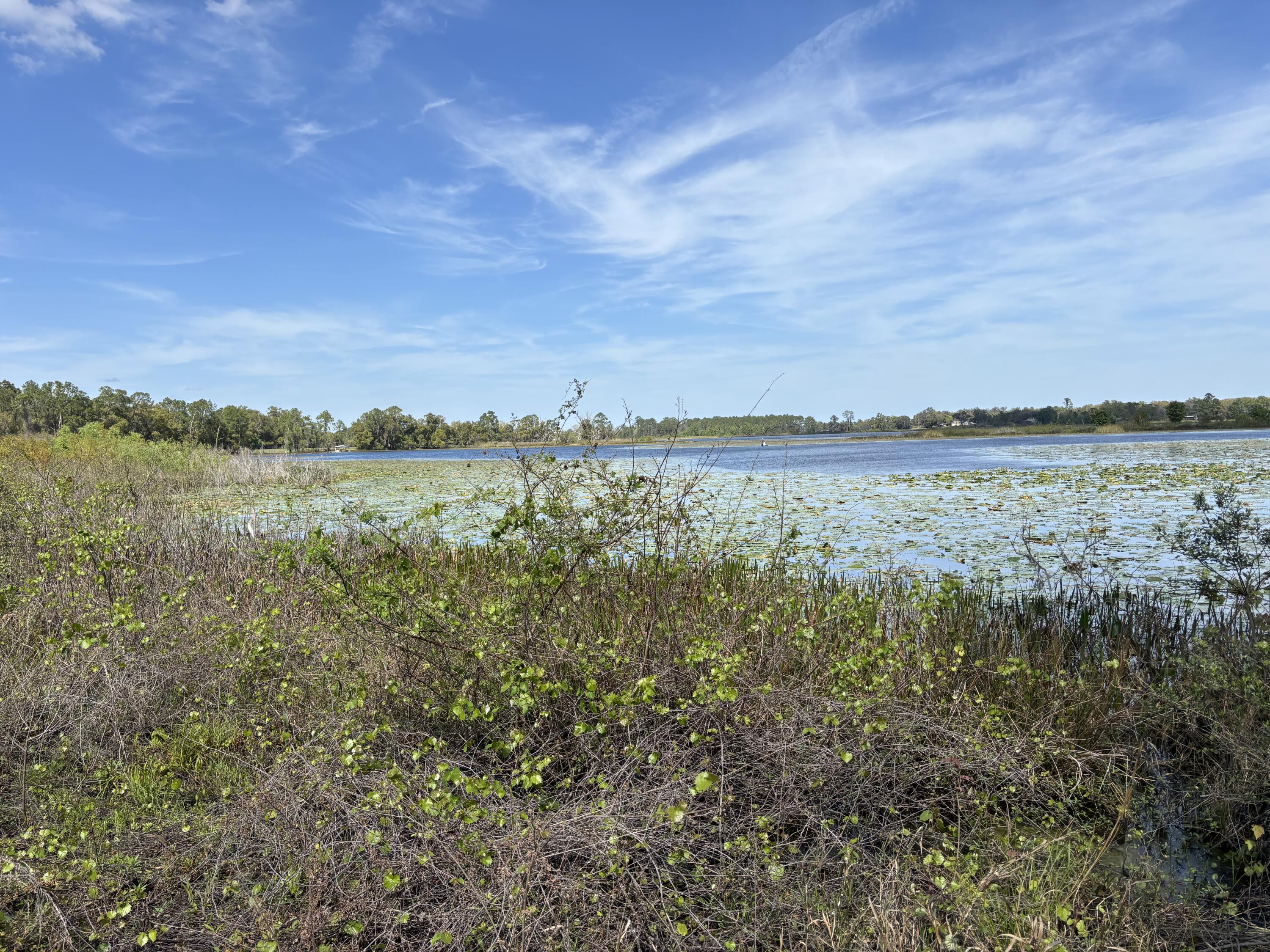 40 to 45acre parcel off McBride Road in Seville, FL (Volusia Co.). Former fern farm, level, fenced and borders Lake Louise. Would me a great spacious property for a new home. There is an old house and sheds on property that will convey as-is.