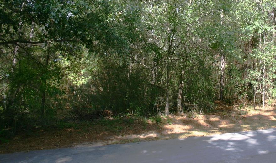 Great building lot in Lakeside East, south of I-10 in Crestview. Build your dream home here and enjoy the beautiful location.