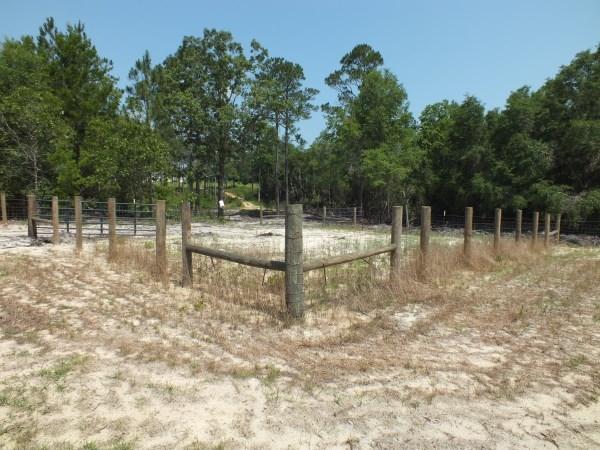 This is a beautiful 10 acre parcel located just outside of town off Hwy 90. The entire parcel was recently cleared, fenced, fertilized and seeded with Argentina Bahia grass. There is a temporary power pole for the electric fence running along the bottom fence line at entire perimeter (aerial photo in this listing is for location purposes and was taken prior to the land being cleared). There are apx. 10 small oaks that were left for shade for cattle or horses. There is a 60x60 catch pen at the NW corner and a small creek at the NE corner. A 30' recorded easement off Linda Ln provides access to this property. This is a definite must see property! Seller is willing to finance with 50% down ($24,900 financed at 8%, 7 yrs, $388.10/mo)