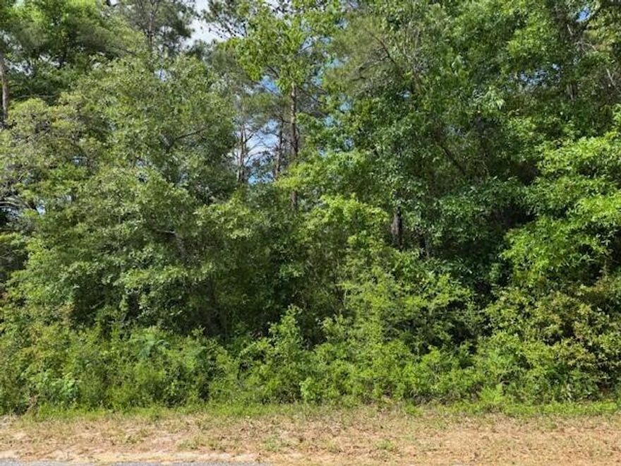 Rare 1.1 acre Lot in the prestigious subdivision in Whispering Pines; One of the few subdivisions that boost over 1 acre lots for privacy and seclusion! NO HOA for individuality and creativity to plan your home and property for individual needs; some owners have carports or garages for large RV's, vehicle storage, or whatever your imagination desires! Bone Bluff is on the North end of Whispering Pines where very little traffic occurs; Come build your DREAM home along side the most BEAUTIFUL beaches on the Emerald Coast!