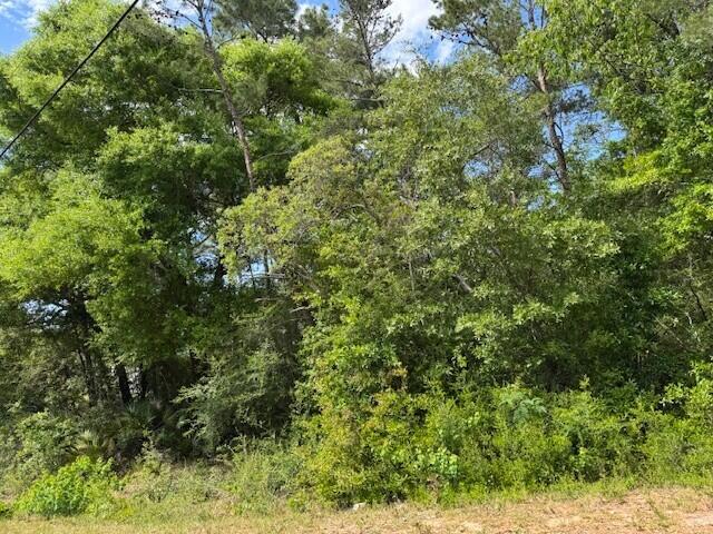 WHISPERING PINES - Farm