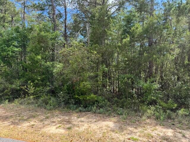 WHISPERING PINES - Farm