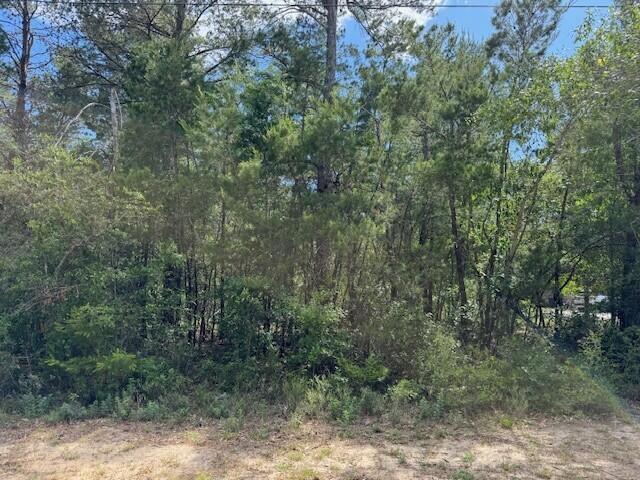 WHISPERING PINES - Farm