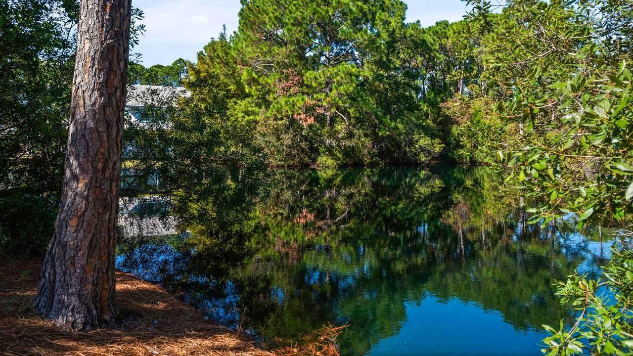 BUNGALOWS AT SEAGROVE BEACH - Residential