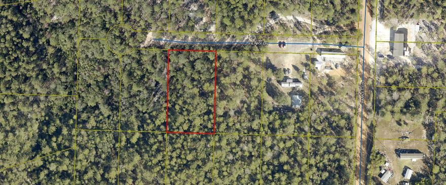 Beautiful lot in the growing Mossy Head area. This lot is 160 x 270 which almost a full acre. This lot is lightly wooded and located conveniently between downtown Defuniak Springs and also I-10 in Mossy Head. This lot is ready for your new home.