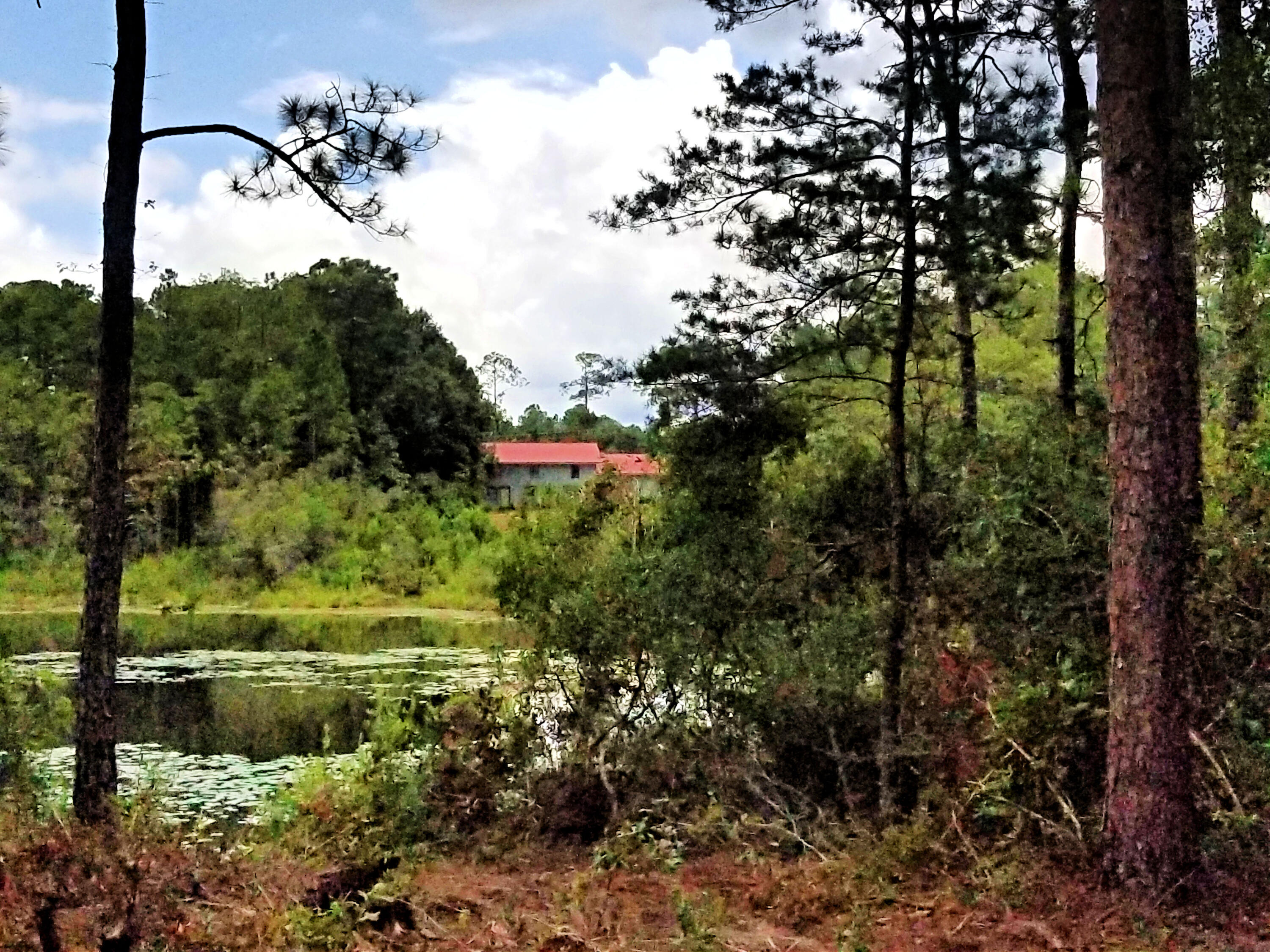 MAJOR PRICE REDUCTION - Don't let this opportunity pass you by. A local builder stands ready to assist buyer in completing home on this stunning LAKEFRONT LOT! Property has Slab already poured, septic tank installed, and much more. Conveniently located with easy access to the Interstate (I-10), approximately 10 minutes to Defuniak Springs, 10 mins to Downtown Freeport, and 30 minutes to the beautiful white sandy beaches of the Emerald Coast! Opportunities like this don't come along everyday. Give us a call for more details! All information to be verified by buyer.