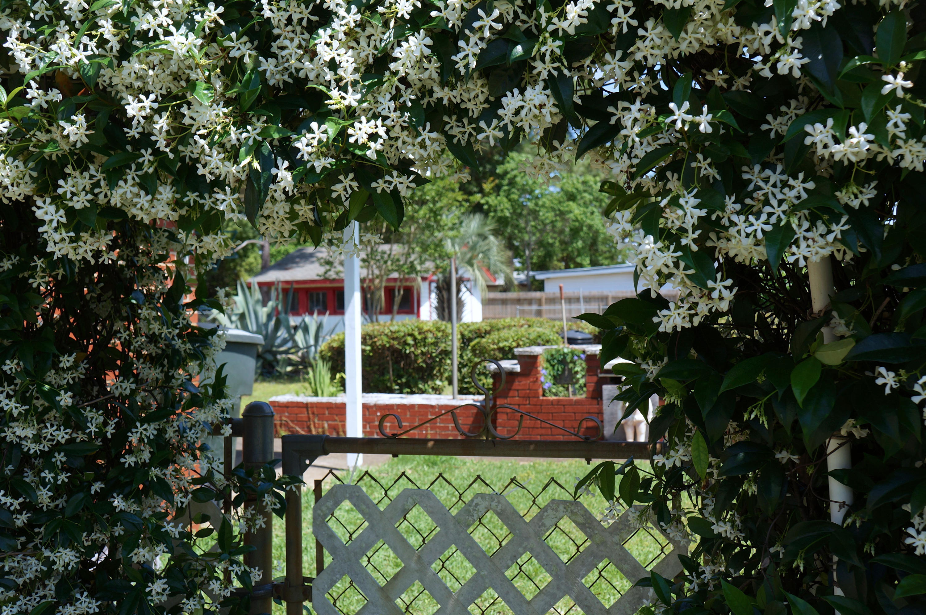 OAKLAND ADDN - Residential